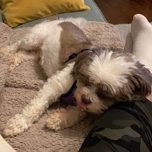 Meet your Posher, Meredith